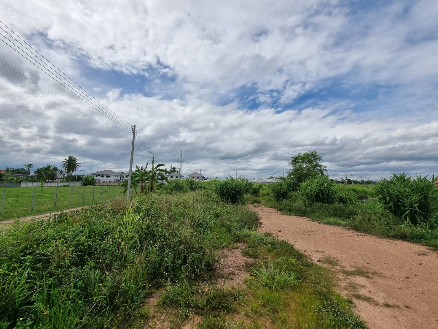 Filled Land for Sale in San Phranet San Sai | THB 18K/Sq.Wah photo 3