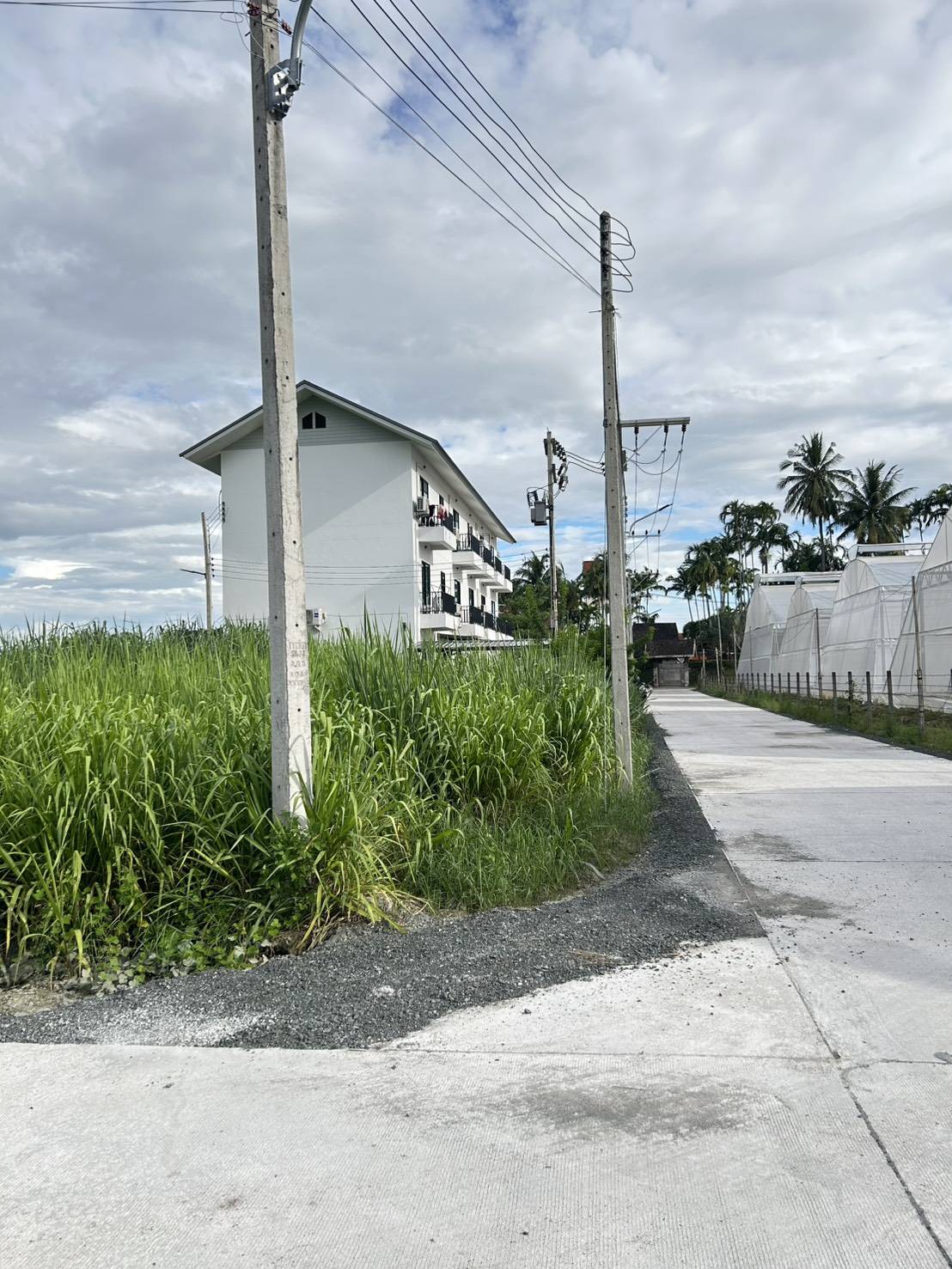 Filled Land for Sale in San Phranet San Sai | THB 18K/Sq.Wah photo 5