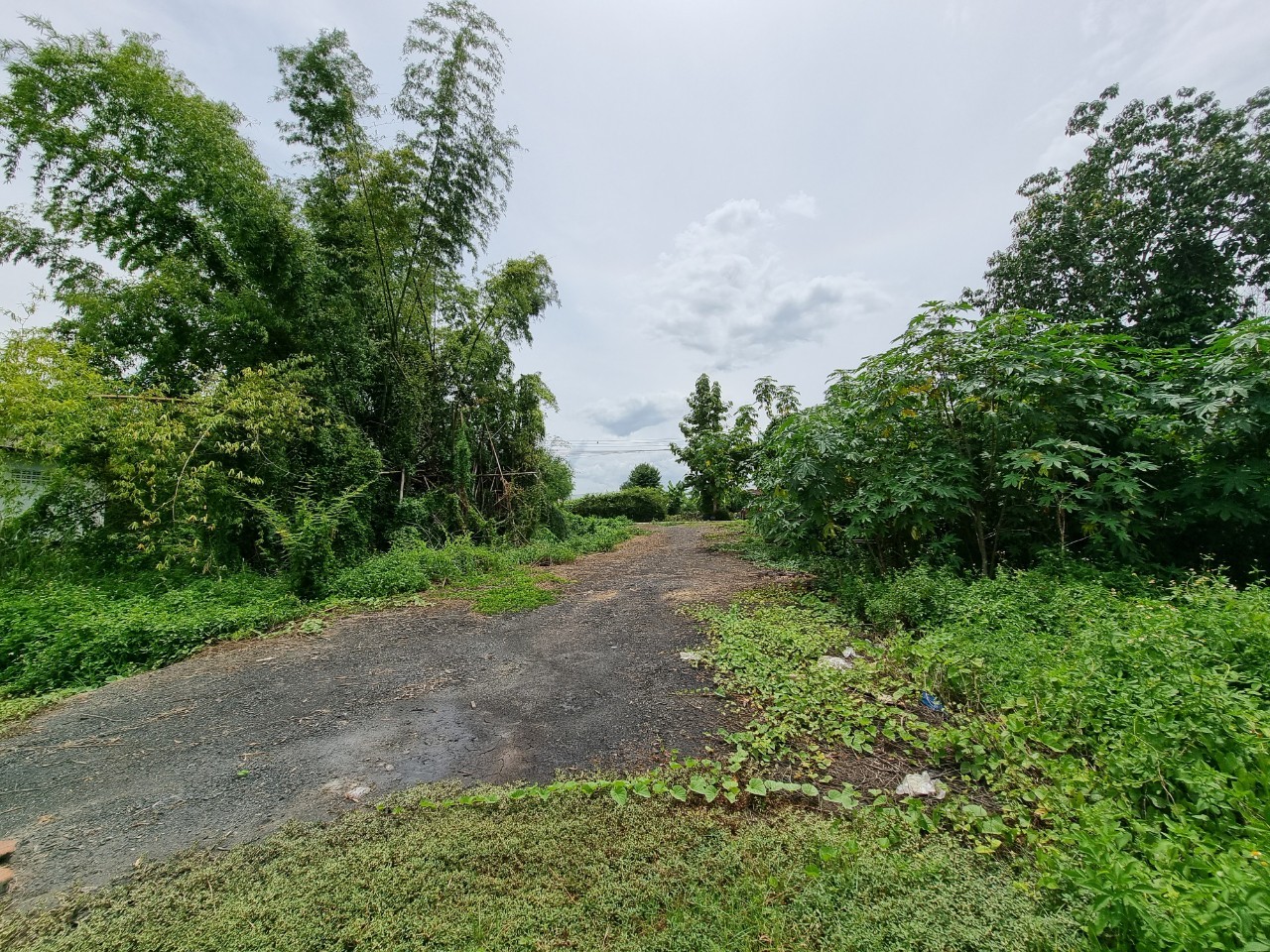 Land for Sale in Mae Taeng Chiang Mai | 2.69 Rai THB 2.5M photo 2