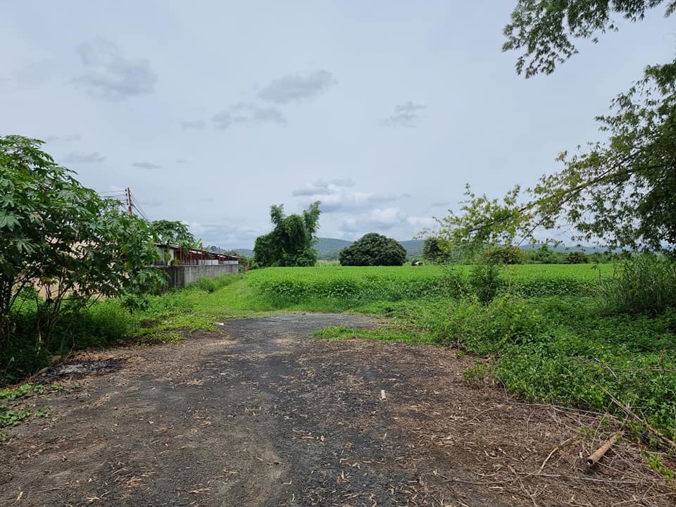 Land for Sale in Mae Taeng Chiang Mai | 2.69 Rai THB 2.5M photo 3