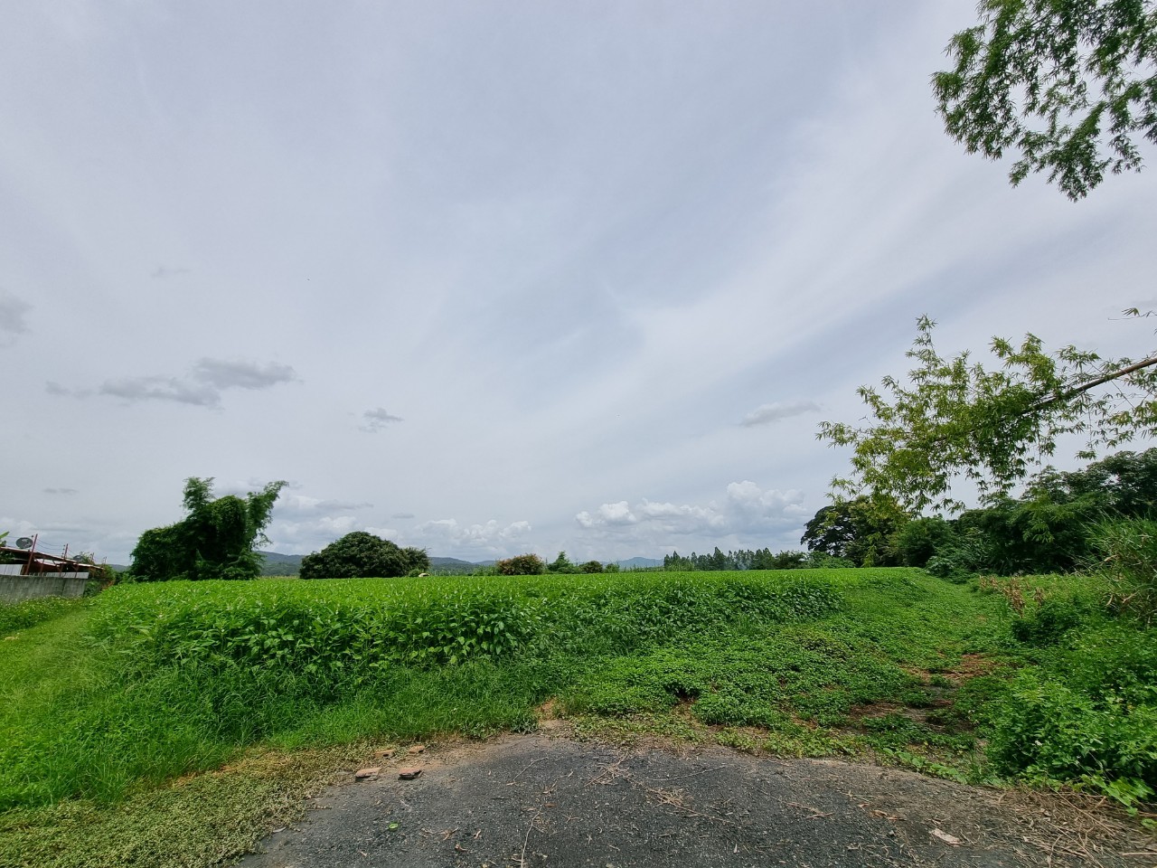Land for Sale in Mae Taeng Chiang Mai | 2.69 Rai THB 2.5M photo 4