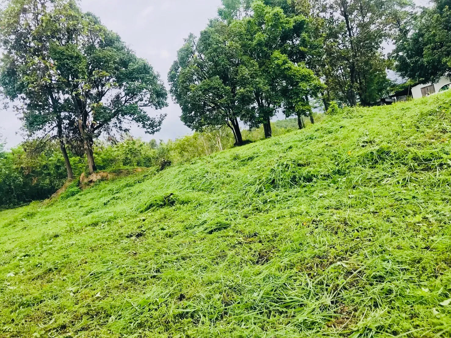 3 Rai Land for Sale in Nam Phrae Hang Dong | Near Grand Canyon photo 3