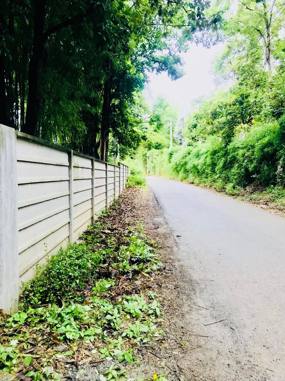 3 Rai Land for Sale in Nam Phrae Hang Dong | Near Grand Canyon photo 9