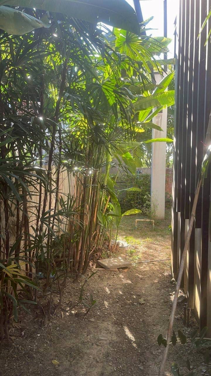 3BR House for Rent Near BCIS & Panyaden Chiang Mai | THB 37K photo 11