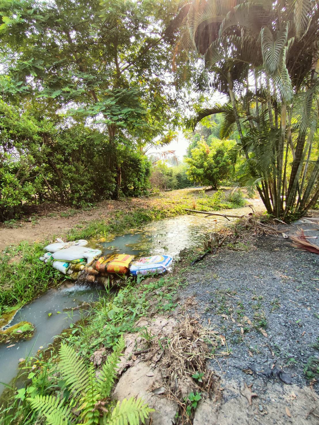 Riverside Estate for Sale in Doi Saket Chiang Mai | 4 Rai THB 9.8M photo 12