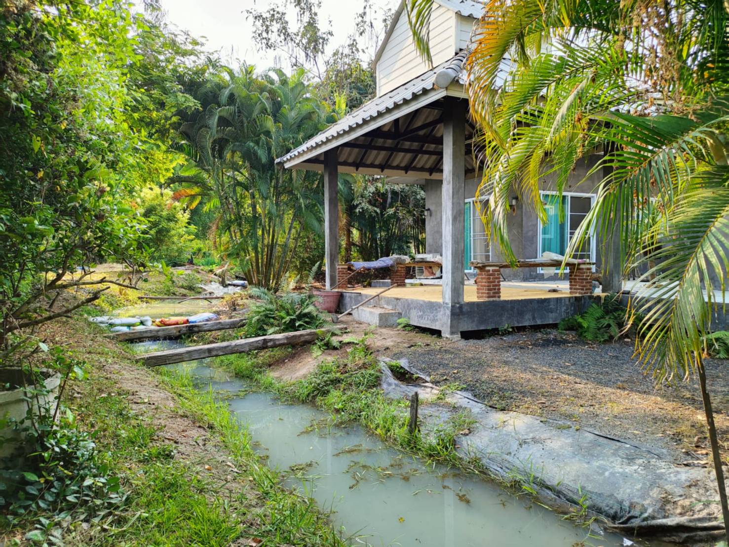 Riverside Estate for Sale in Doi Saket Chiang Mai | 4 Rai THB 9.8M photo 7