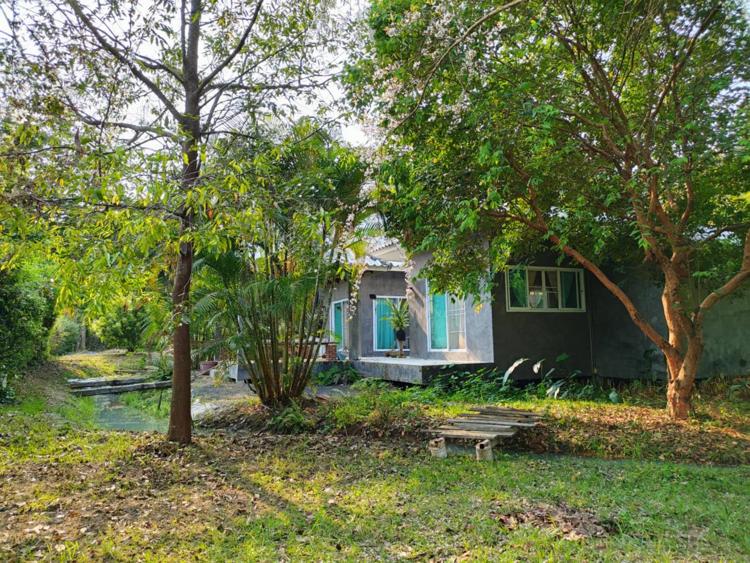 Riverside Estate for Sale in Doi Saket Chiang Mai | 4 Rai THB 9.8M photo 8