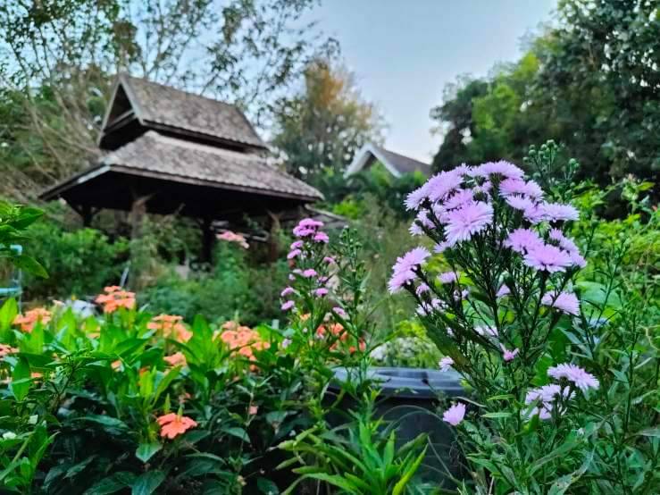 Riverside Estate for Sale in Doi Saket Chiang Mai | 4 Rai THB 9.8M photo 10
