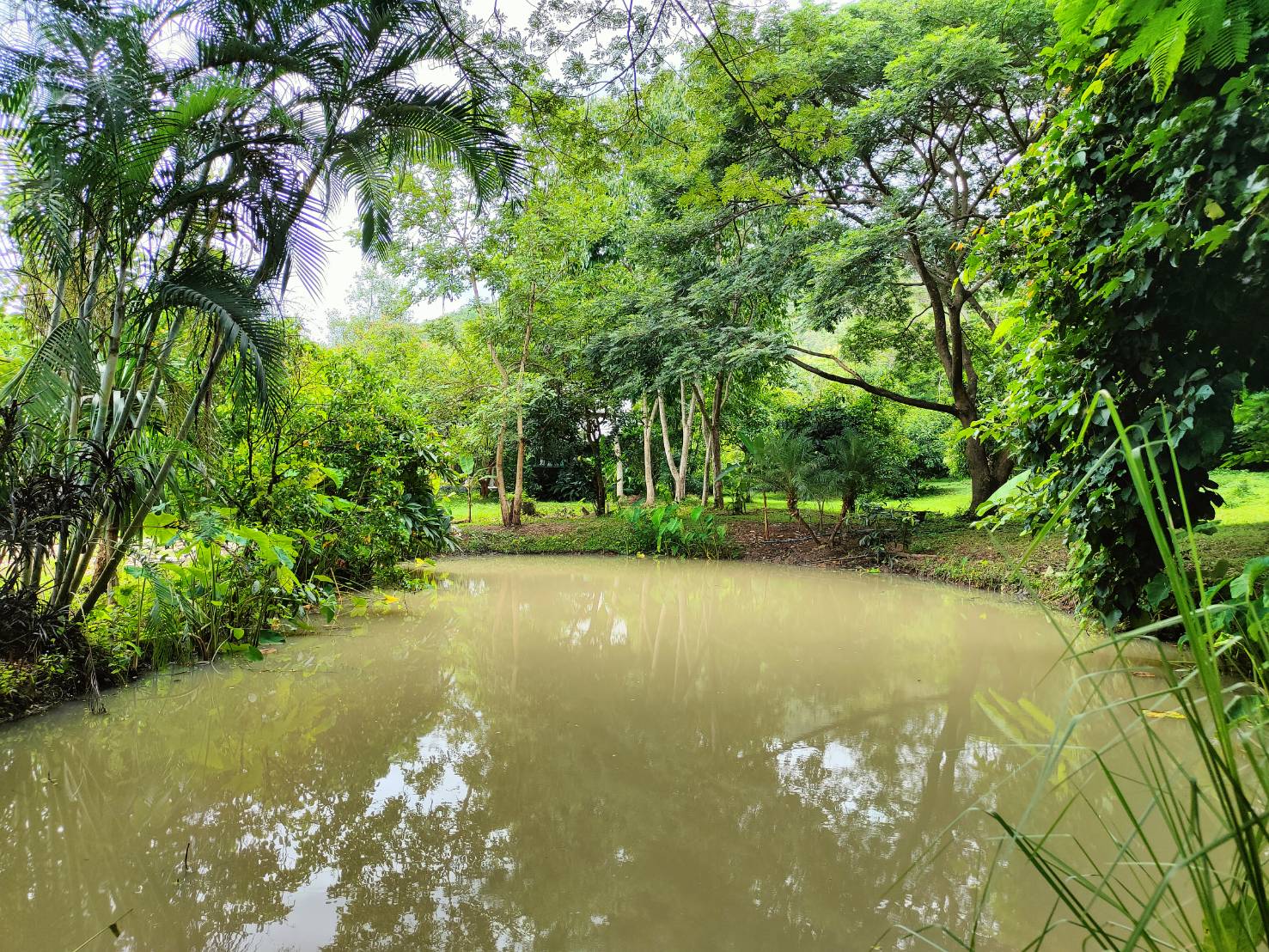 Riverside Estate for Sale in Doi Saket Chiang Mai | 4 Rai THB 9.8M photo 15