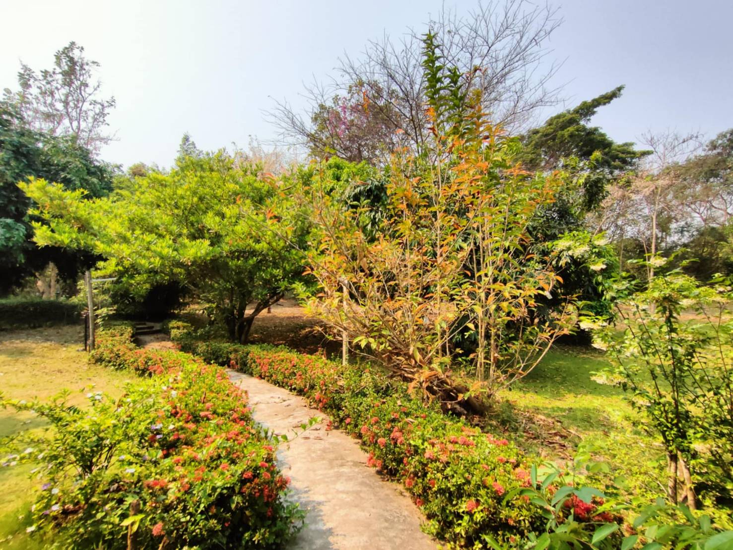 Riverside Estate for Sale in Doi Saket Chiang Mai | 4 Rai THB 9.8M photo 14