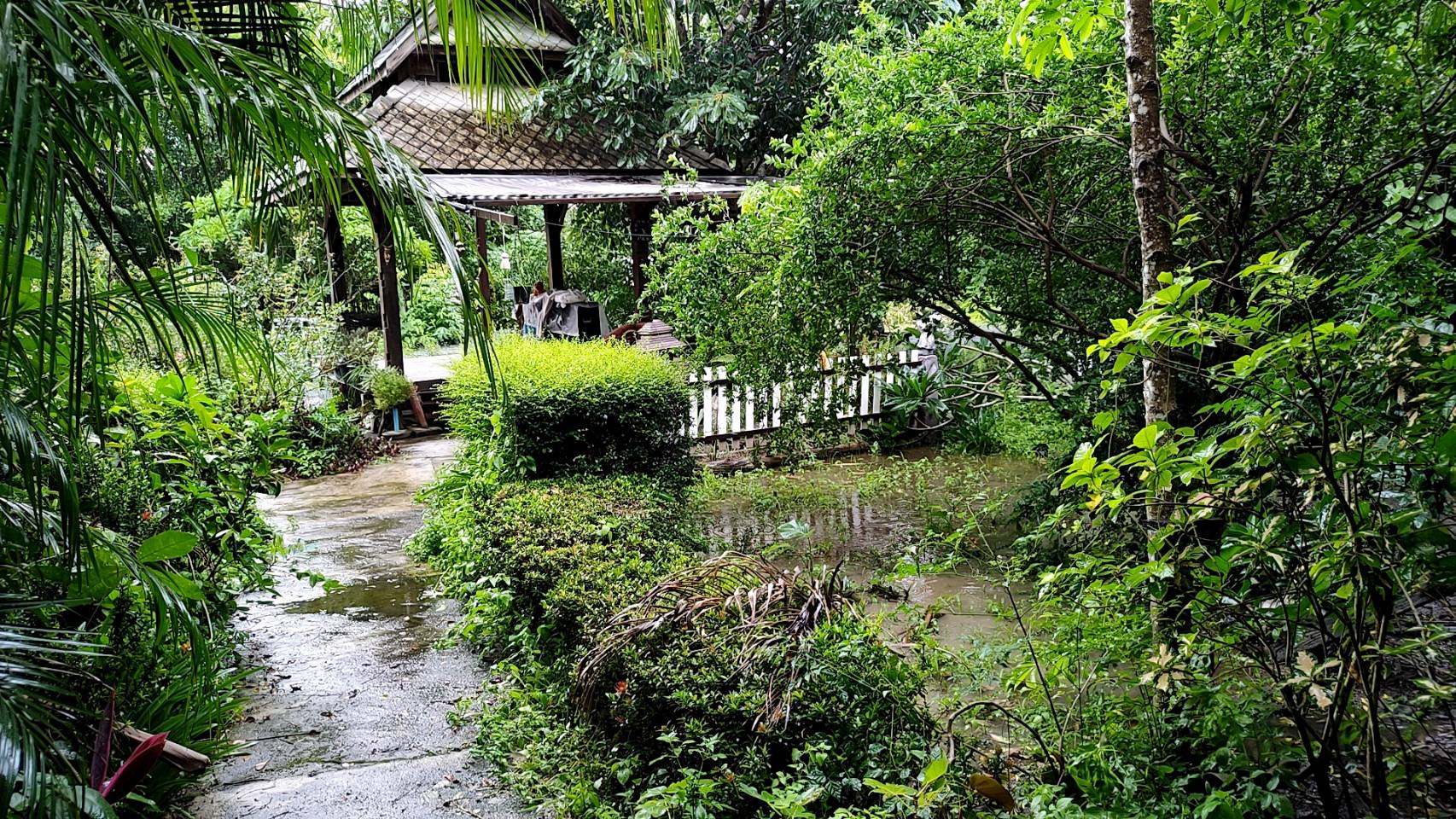 Riverside Estate for Sale in Doi Saket Chiang Mai | 4 Rai THB 9.8M photo 9