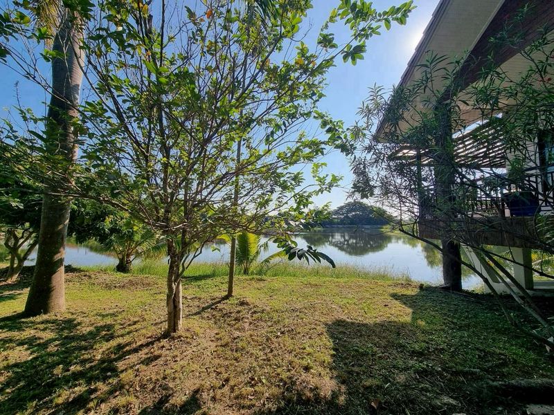 Rare Private Lake Estate in Mae Hia | 6 Rai Near Central Chiang Mai photo 3