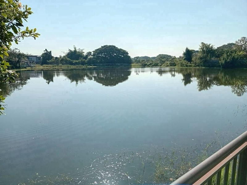 Rare Private Lake Estate in Mae Hia | 6 Rai Near Central Chiang Mai photo 7