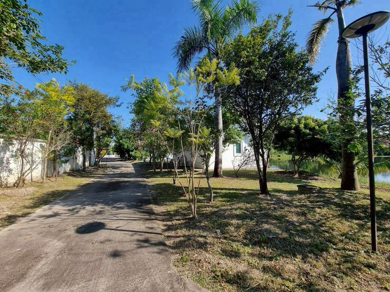 Rare Private Lake Estate in Mae Hia | 6 Rai Near Central Chiang Mai photo 4
