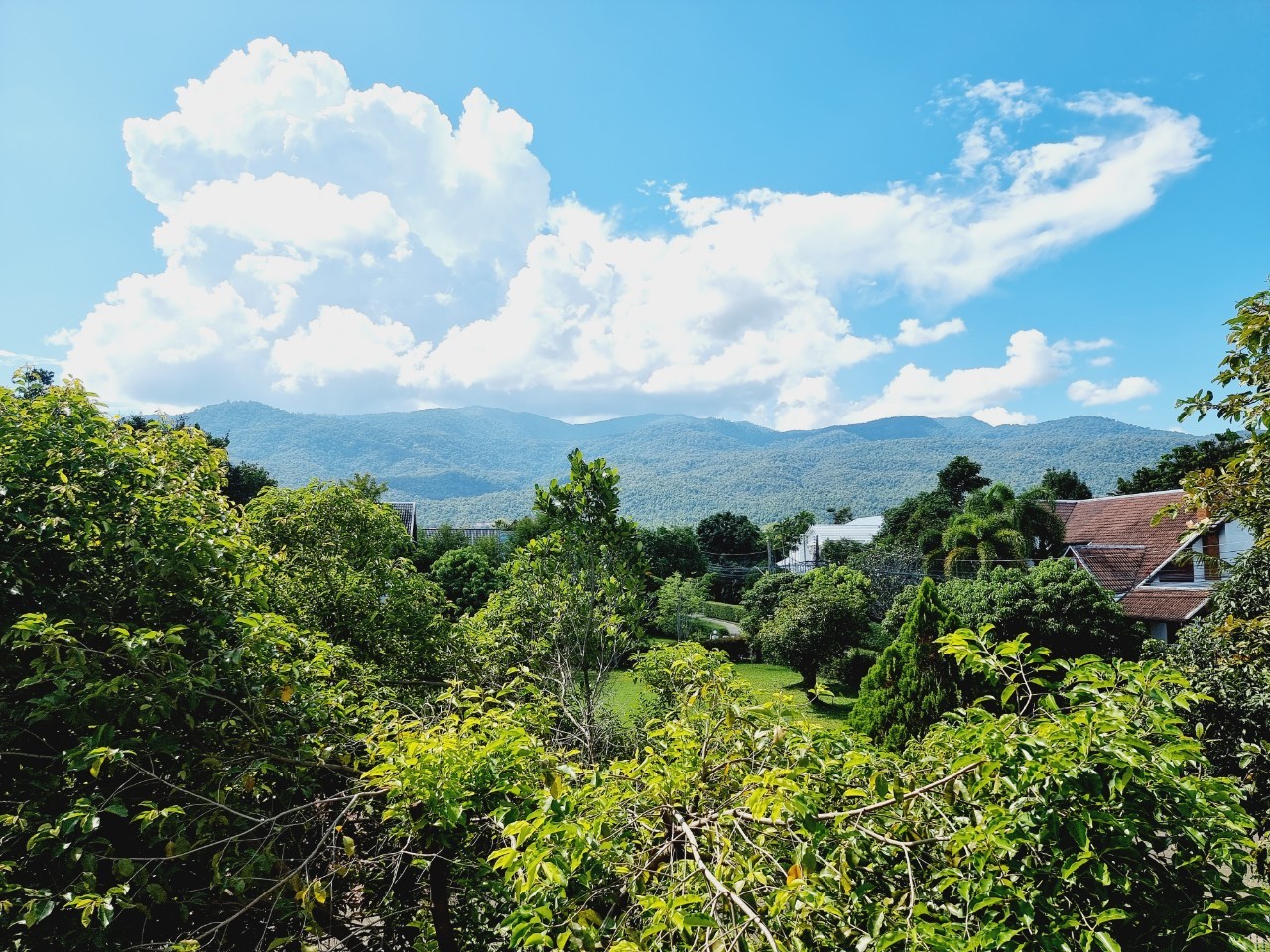 Large 5-Bedroom Villa for Rent Near Nimman & CMU, Chiang Mai | 1,400 Sq.m. photo 27