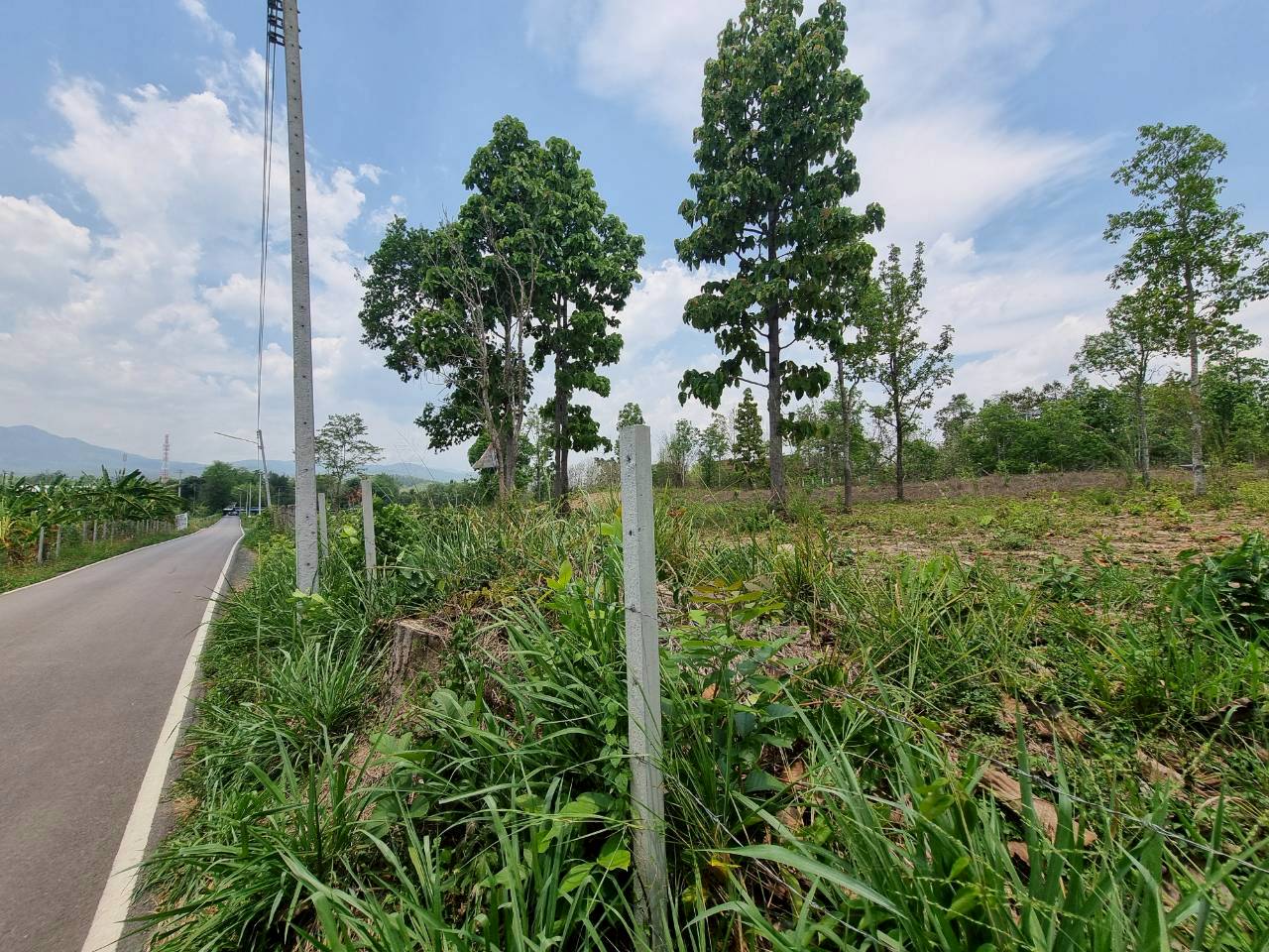 Prime Development Land for Sale Near Prem International School | Mae Rim, Chiang Mai photo 4