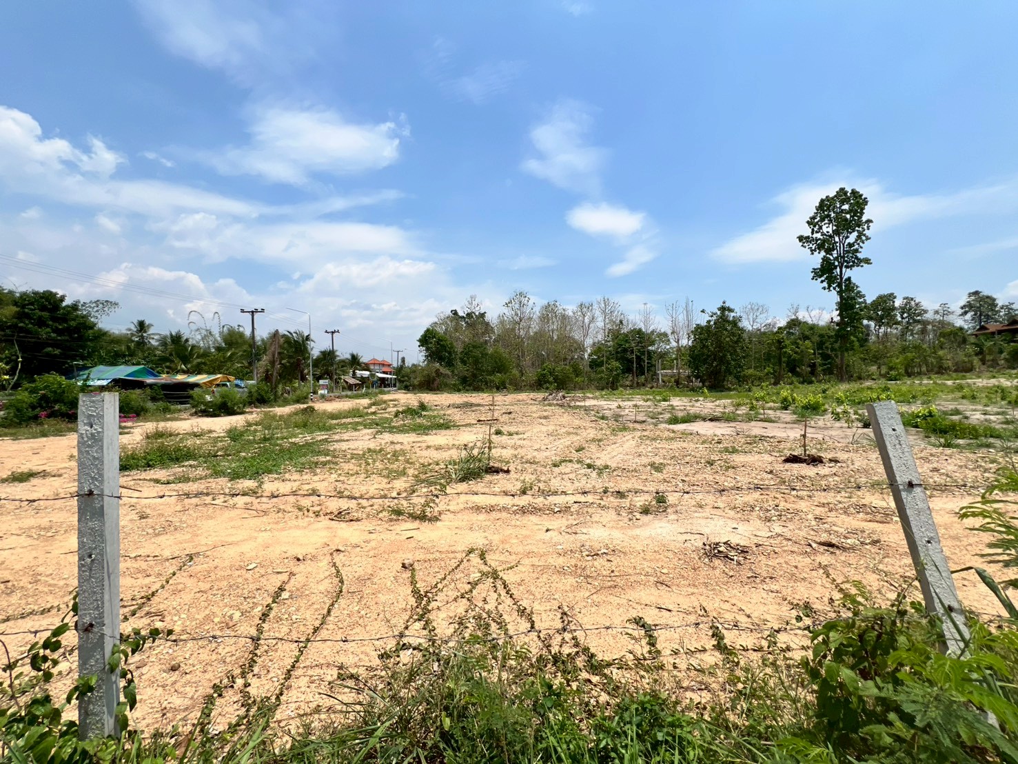 Prime Development Land for Sale Near Prem International School | Mae Rim, Chiang Mai photo 5