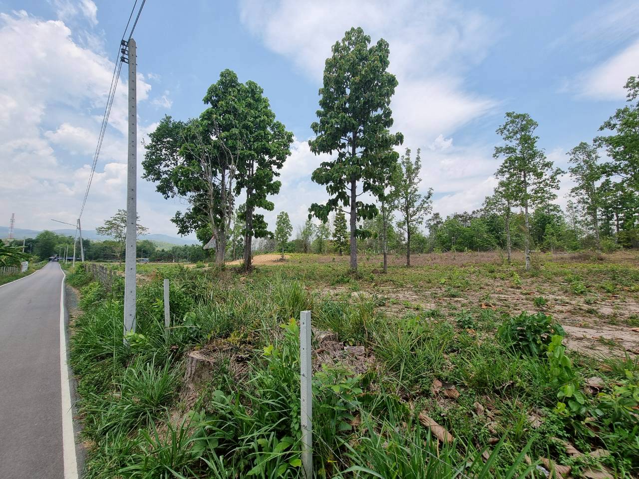 Prime Development Land for Sale Near Prem International School | Mae Rim, Chiang Mai photo 2