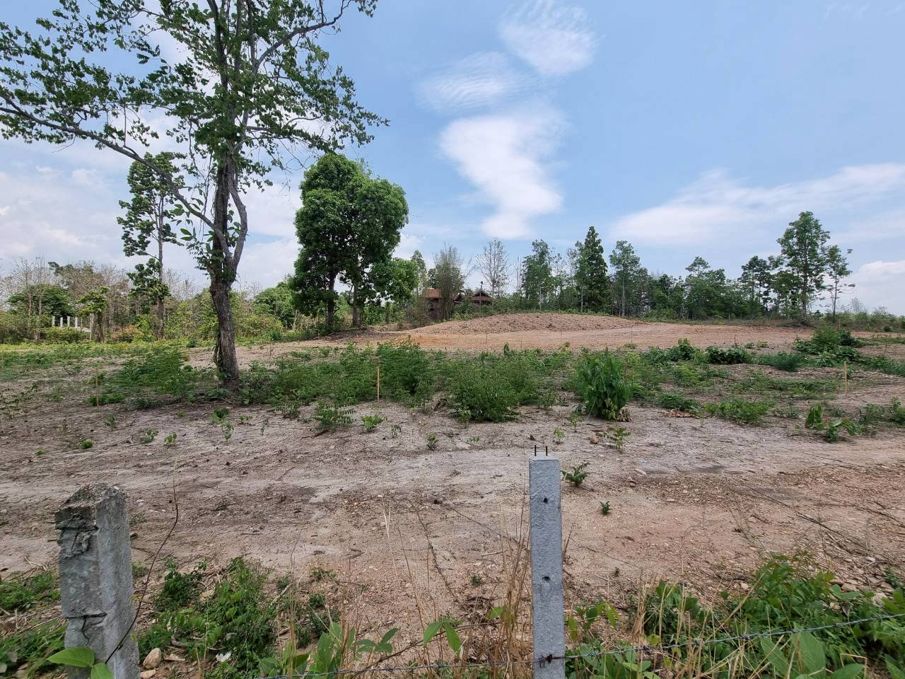 Prime Development Land for Sale Near Prem International School | Mae Rim, Chiang Mai photo 3