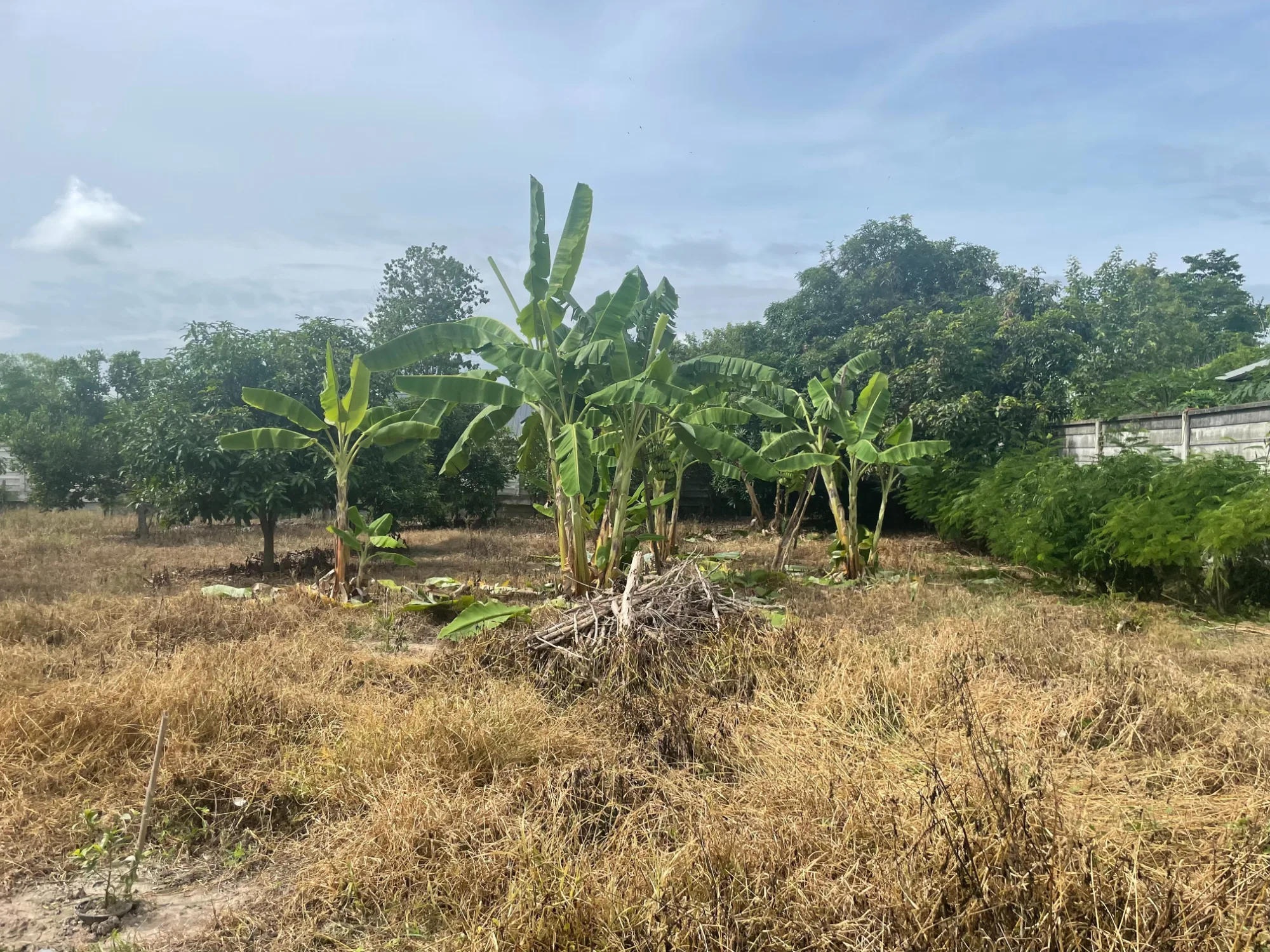 Land for Sale in Hang Dong, Chiang Mai | 1+ Rai in Nam Phrae – THB 5.12M photo 3