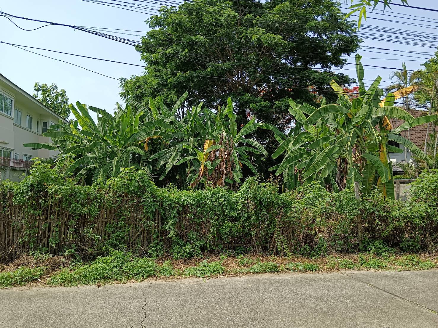 Land for Sale in Central Chiang Mai | 190 Sq.Wah Near Wat Ket photo 2