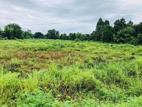 9-2-78 Rai Land for Sale on San Pa Tong–Hang Dong Bypass Road 3035, Chiang Mai photo 2