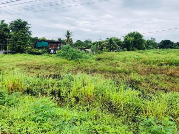 9-2-78 Rai Land for Sale on San Pa Tong–Hang Dong Bypass Road 3035, Chiang Mai photo 3