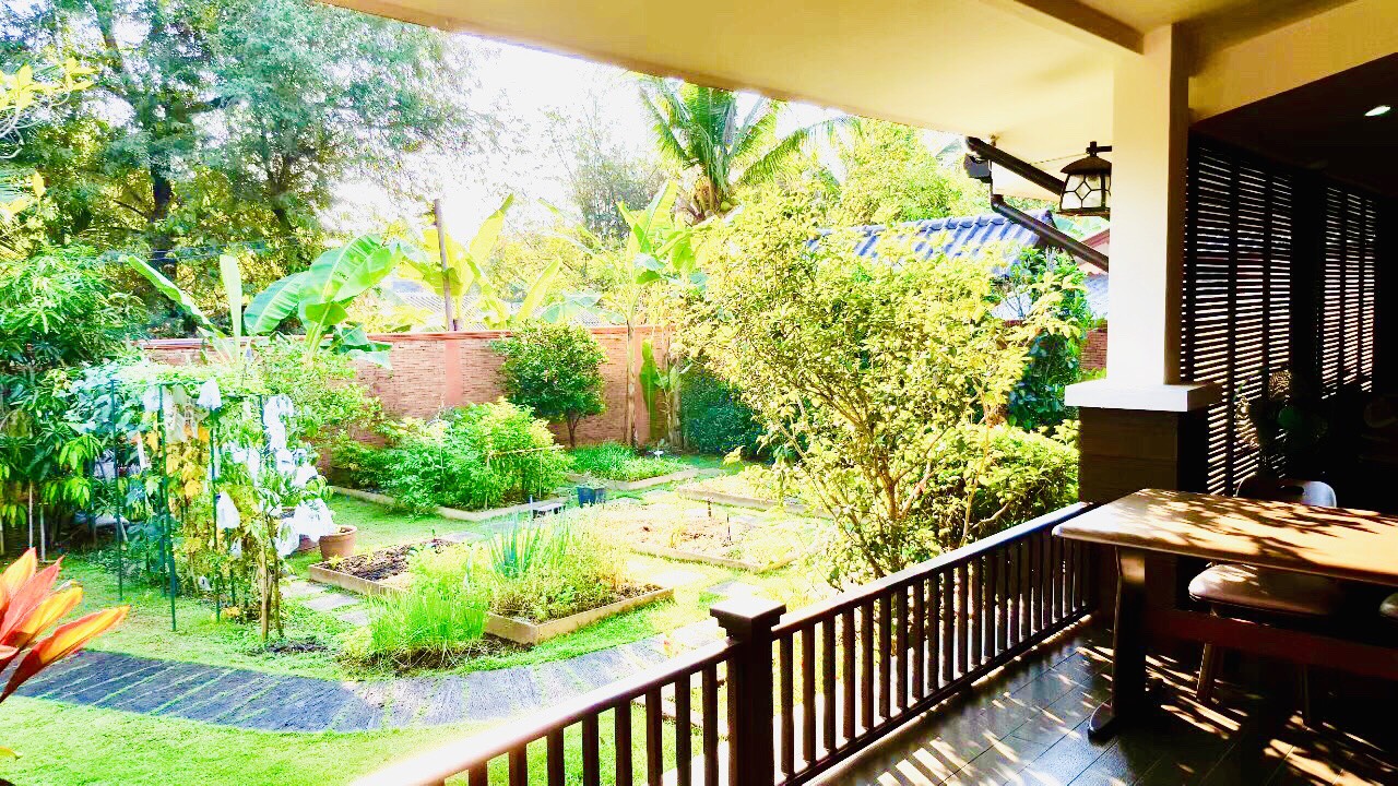 Single-Storey House for Sale in San Phranet, Chiang Mai | 300 Sq.Wah photo 19