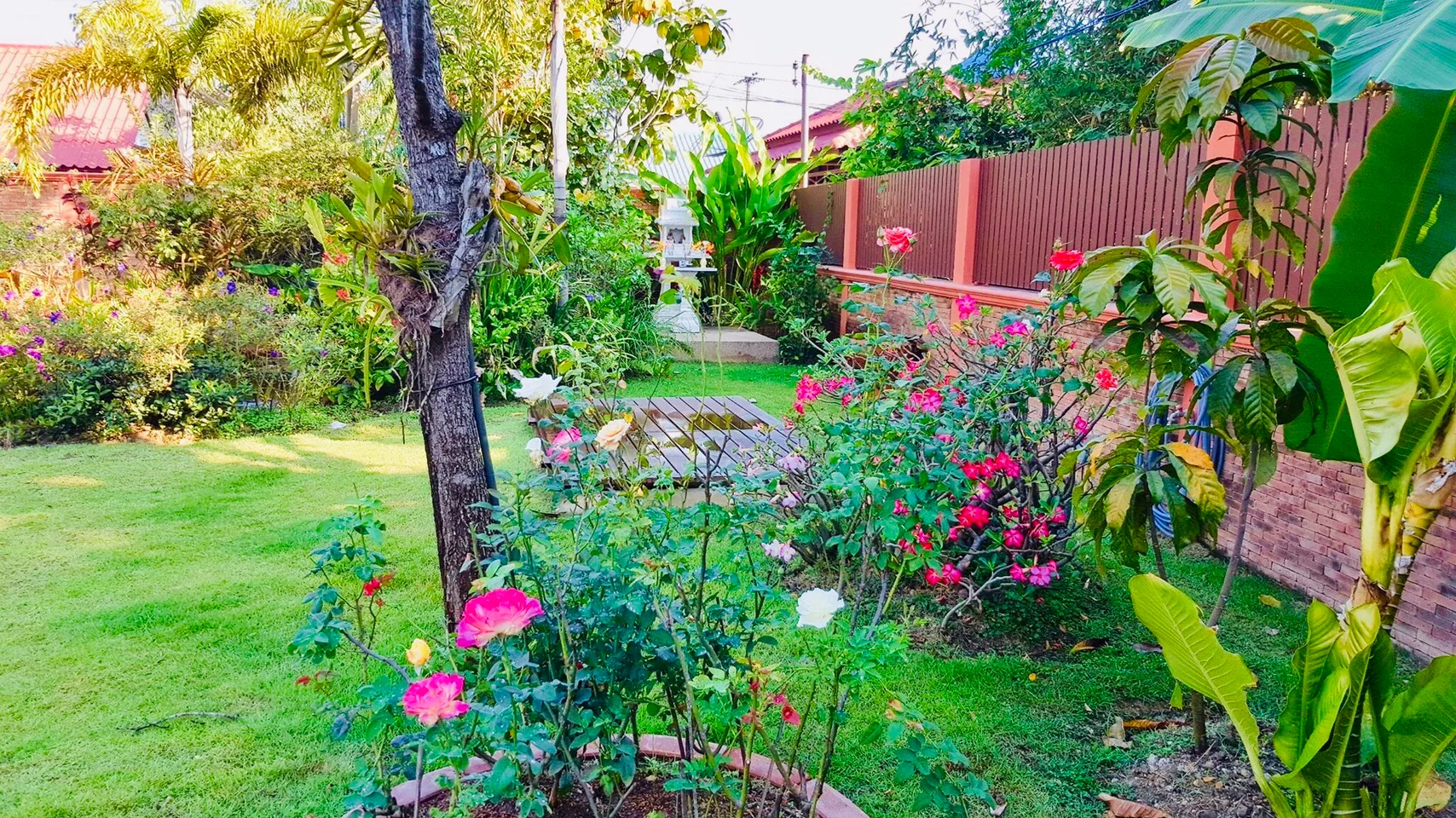 Single-Storey House for Sale in San Phranet, Chiang Mai | 300 Sq.Wah photo 22