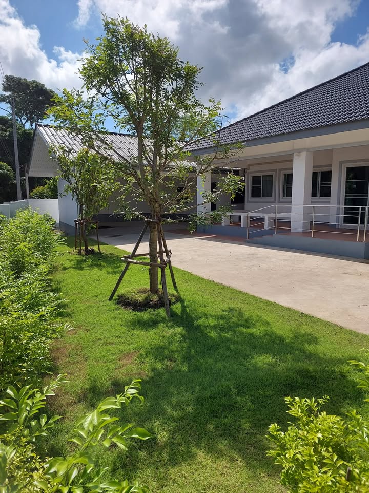 House for Rent Near CDSC Chiang Mai | 4 Bedrooms, Only 550 m Away photo 12