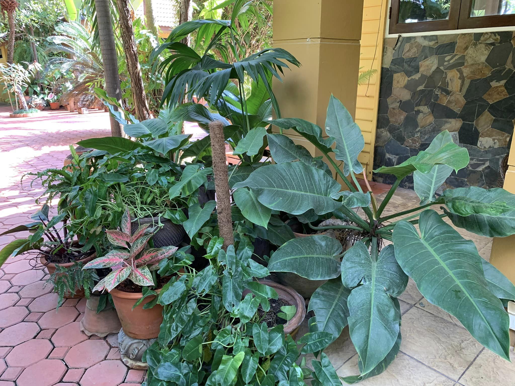Balinese-Style House for Sale in Chiang Mai | 1 Rai in Nong Khwai photo 21