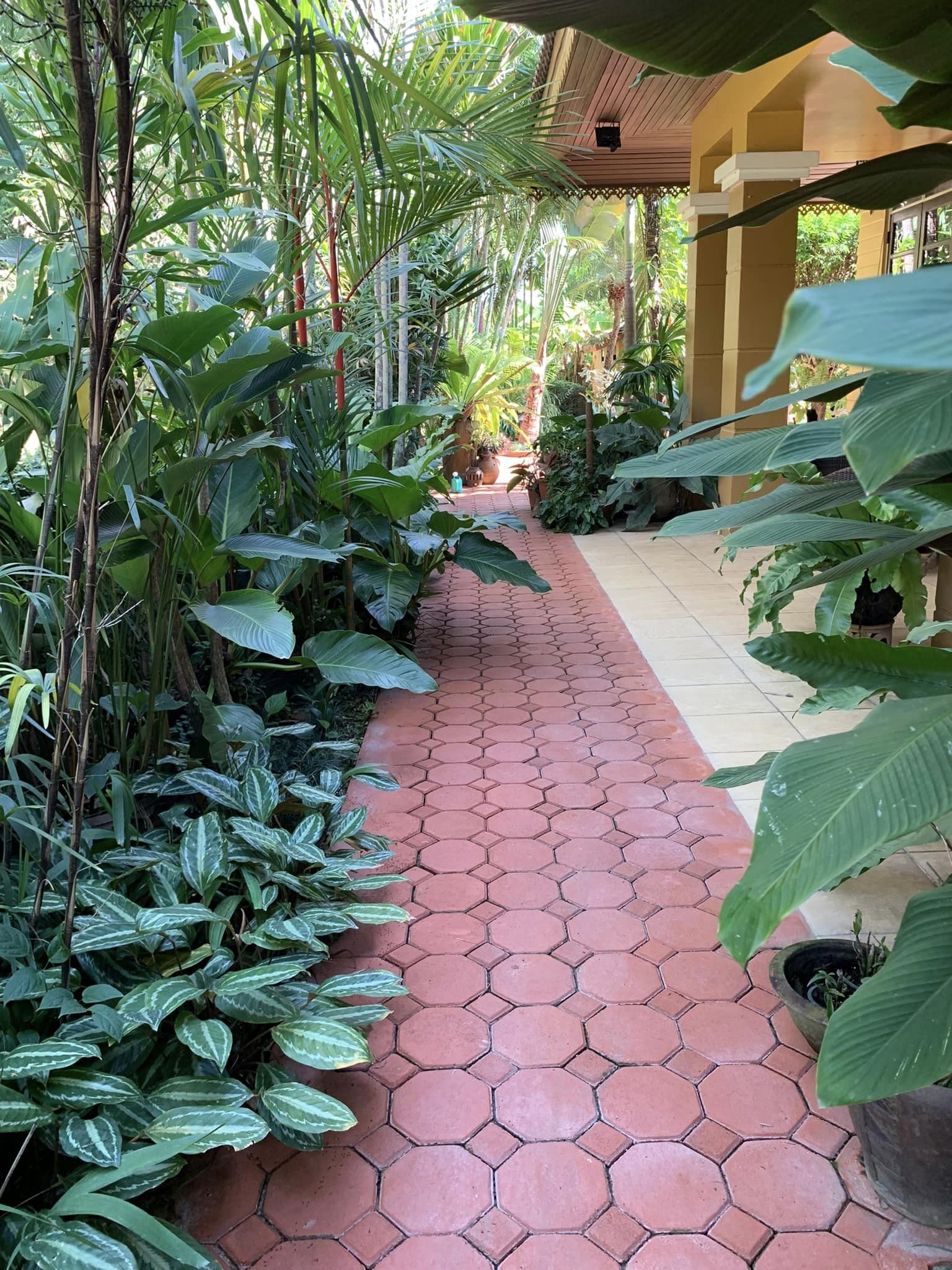 Balinese-Style House for Sale in Chiang Mai | 1 Rai in Nong Khwai photo 23
