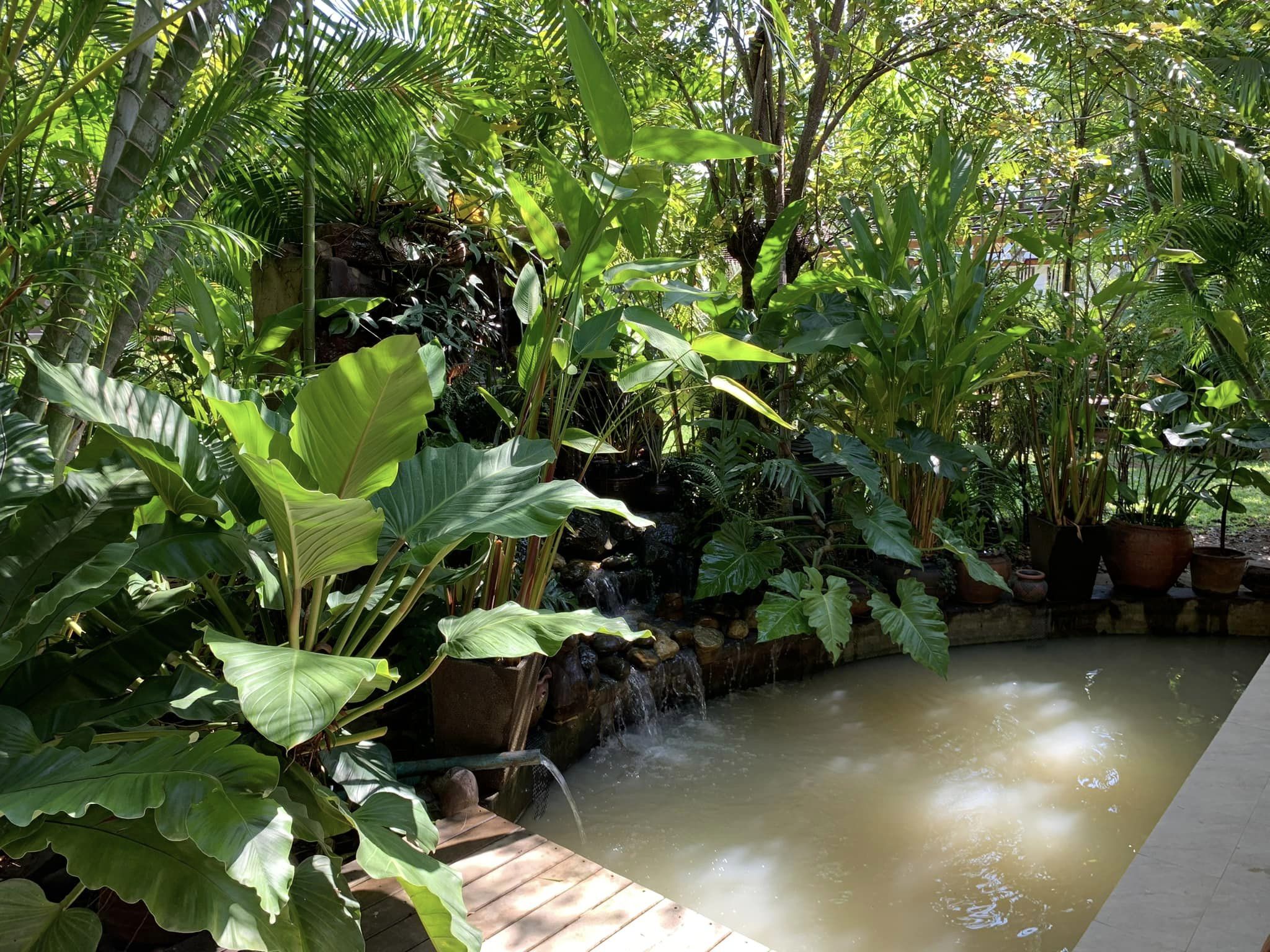 Balinese-Style House for Sale in Chiang Mai | 1 Rai in Nong Khwai photo 19