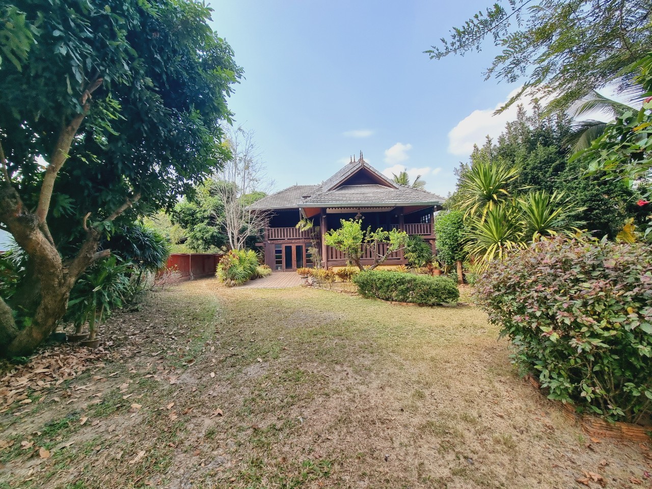 Traditional Teak House for Sale & Rent on Over 1 Rai in San Pa Tong, Chiang Mai | Pet Friendly photo 25