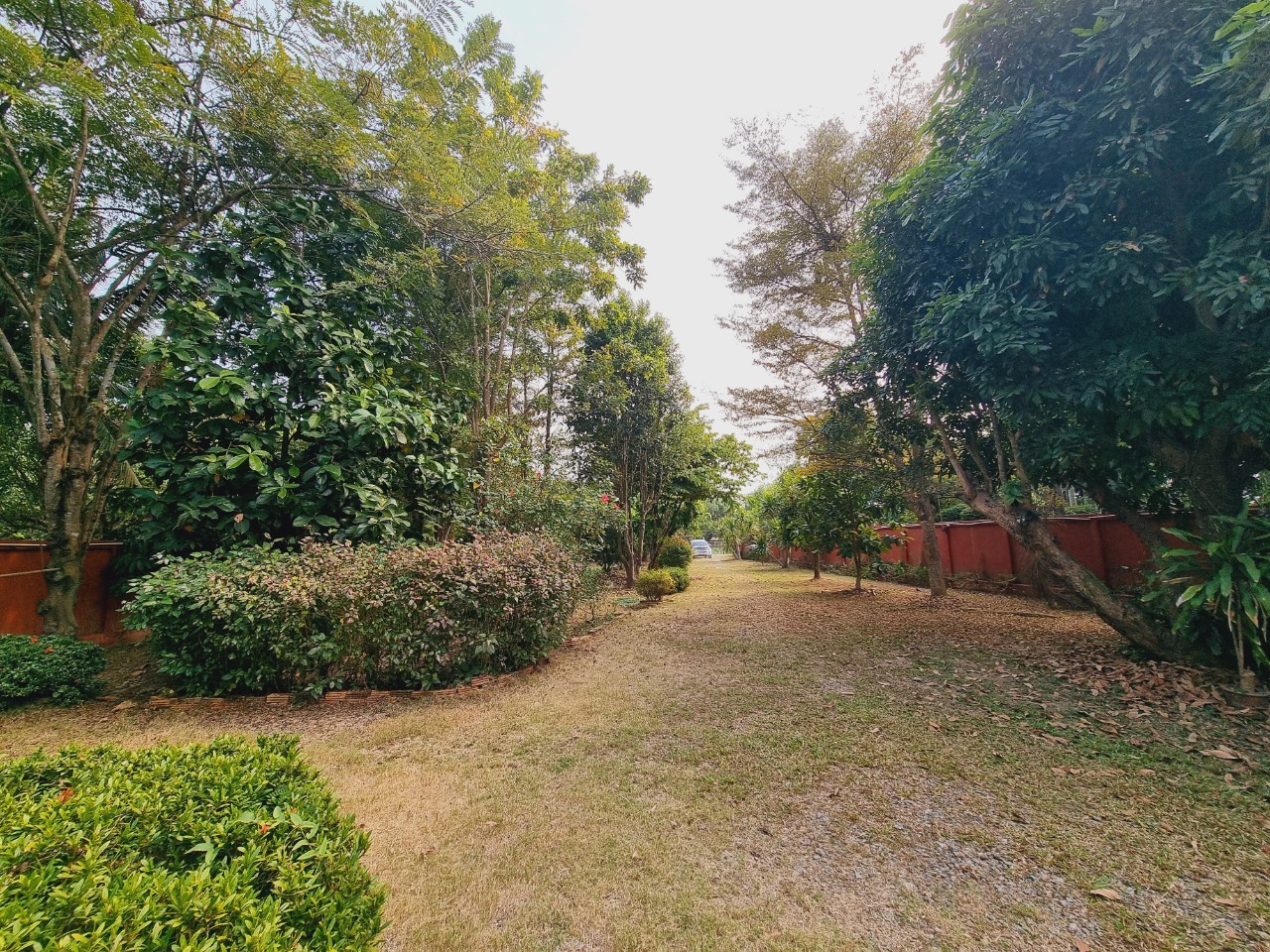 Traditional Teak House for Sale & Rent on Over 1 Rai in San Pa Tong, Chiang Mai | Pet Friendly photo 27