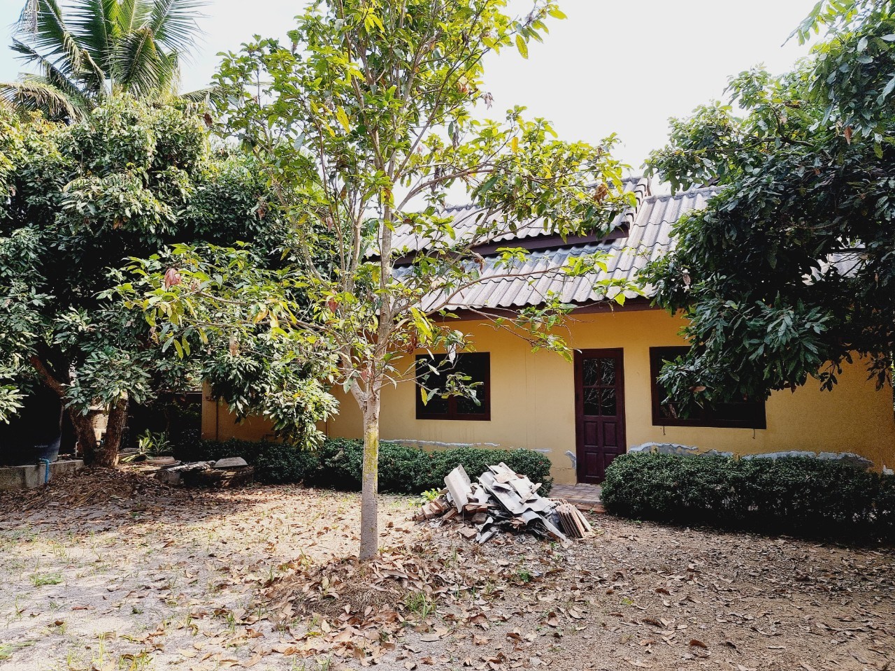 Traditional Teak House for Sale & Rent on Over 1 Rai in San Pa Tong, Chiang Mai | Pet Friendly photo 20