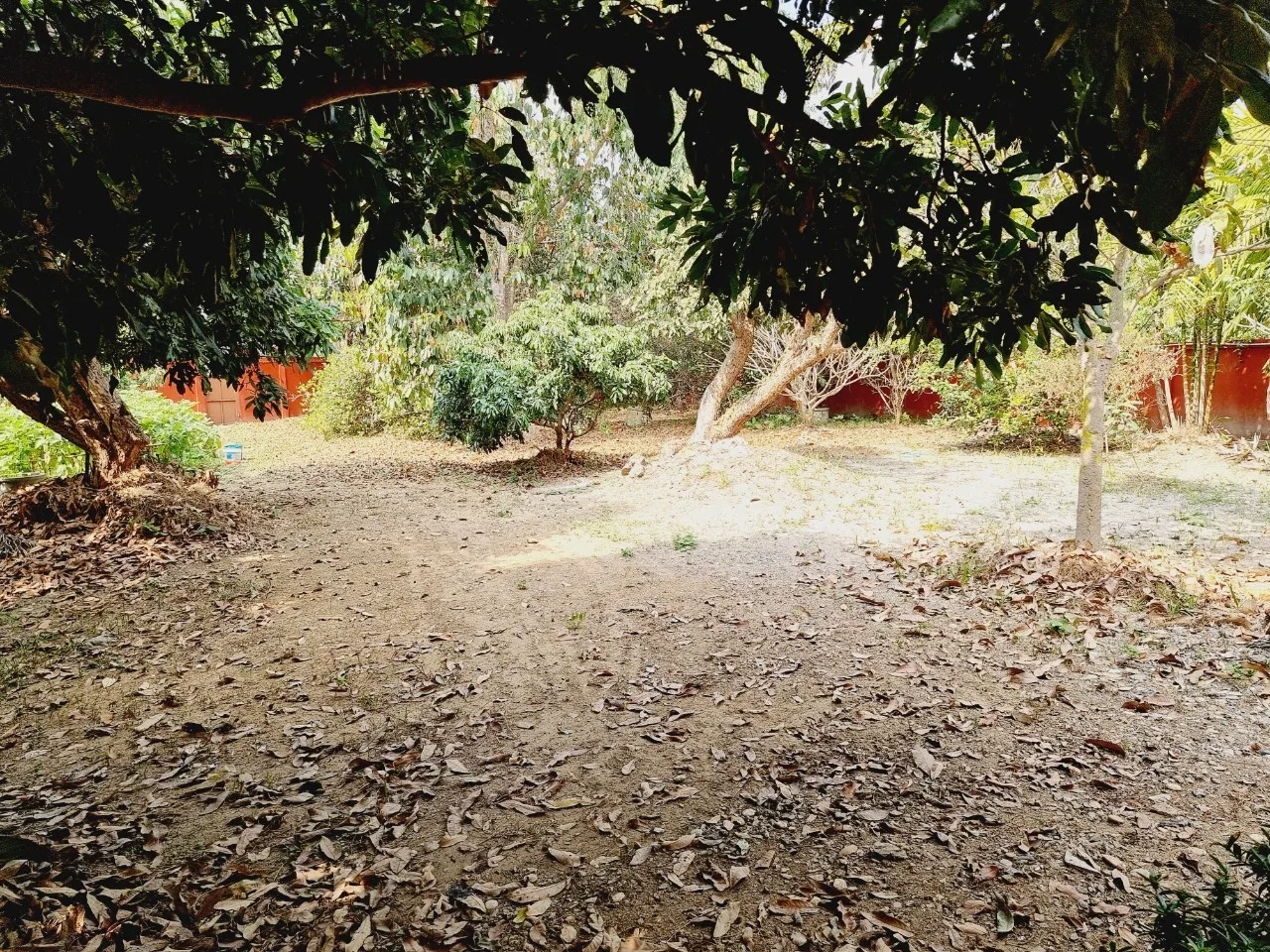 Traditional Teak House for Sale & Rent on Over 1 Rai in San Pa Tong, Chiang Mai | Pet Friendly photo 17