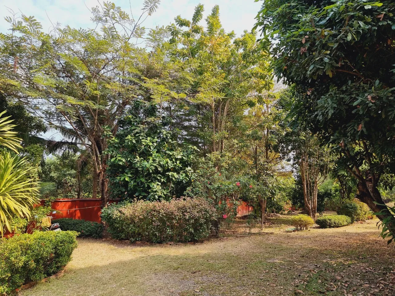 Traditional Teak House for Sale & Rent on Over 1 Rai in San Pa Tong, Chiang Mai | Pet Friendly photo 22