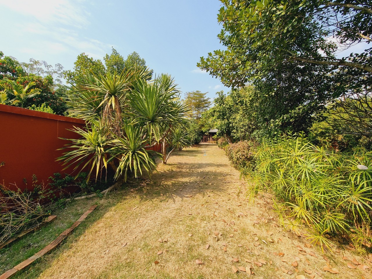 Traditional Teak House for Sale & Rent on Over 1 Rai in San Pa Tong, Chiang Mai | Pet Friendly photo 19