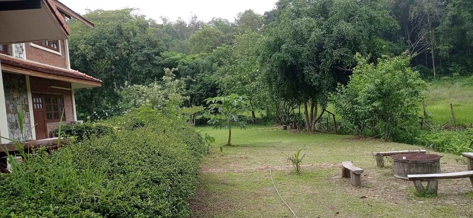 6 Bedroom House for Rent in Ban Pong Hang Dong | 2 Rai, Natural Stream photo 2